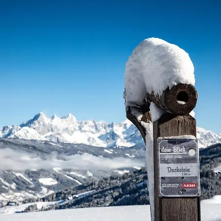 Natursinn Mountainchalets Aparthotel