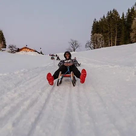Aparthotel Natursinn Mountainchalets Flachau