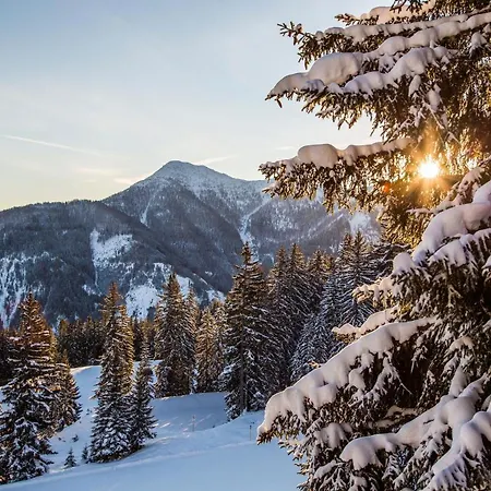 Natursinn Mountainchalets 4*