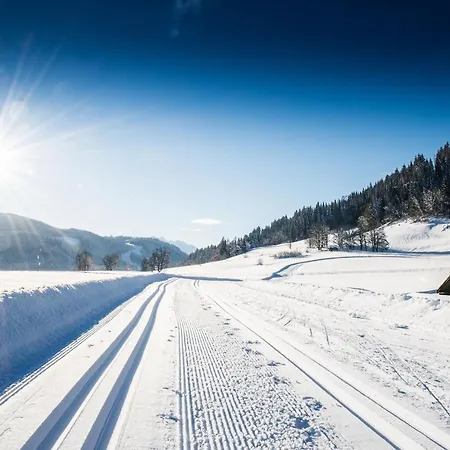 Natursinn Mountainchalets Ξενοδοχείο με διαμερίσματα