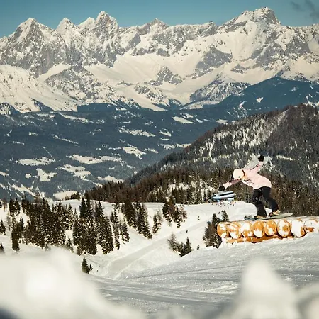 Natursinn Mountainchalets Aparthotel Flachau