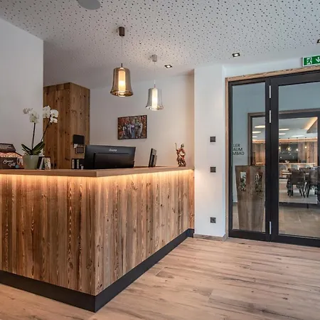 Aparthotel Natursinn Mountainchalets Flachau