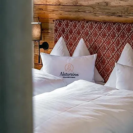 Aparthotel Natursinn Mountainchalets Flachau