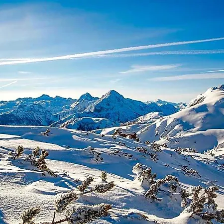 Natursinn Mountainchalets Aparthotel