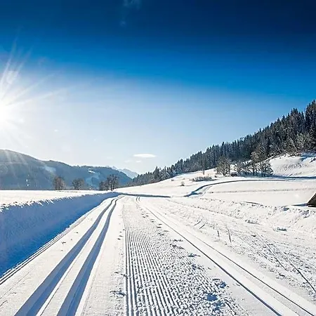 Natursinn Mountainchalets Aparthotel 4*