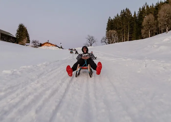 Apart Otel Natursinn Mountainchalets Flachau