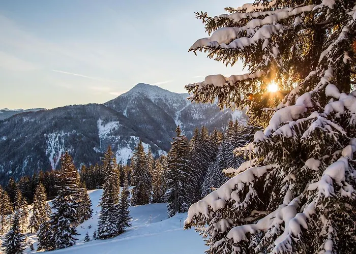 Natursinn Mountainchalets 4*