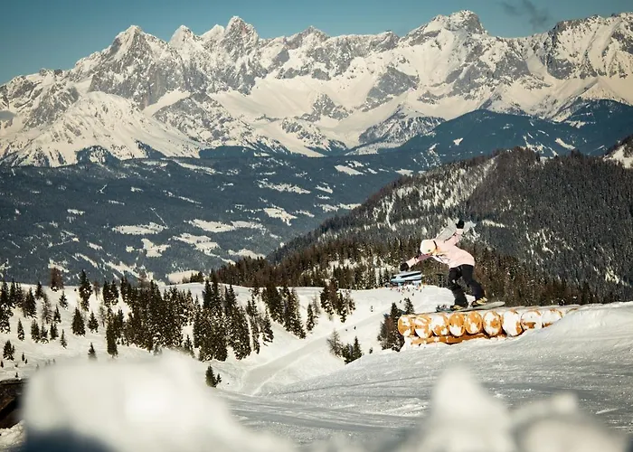 Natursinn Mountainchalets Apart Otel Flachau